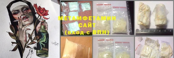 индика Новодвинск