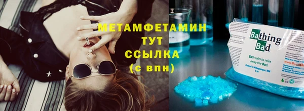 индика Новодвинск