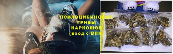 индика Новодвинск