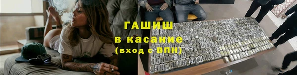 индика Новодвинск
