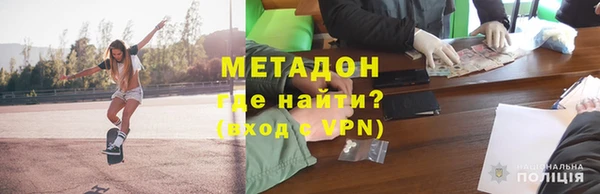 индика Новодвинск