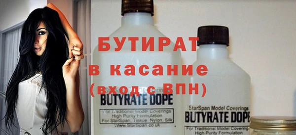 индика Новодвинск