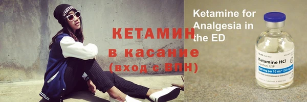 индика Новодвинск