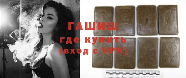 индика Новодвинск