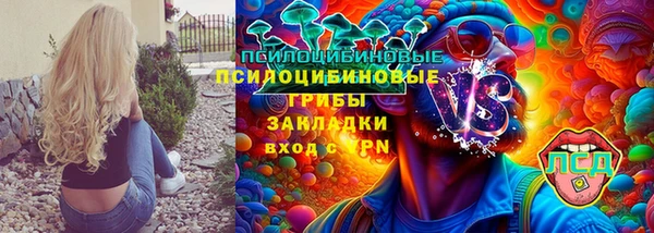 индика Новодвинск