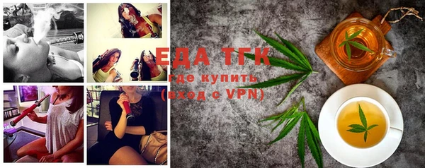 индика Новодвинск