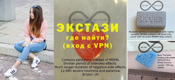 индика Новодвинск