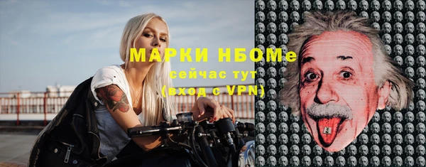 индика Новодвинск