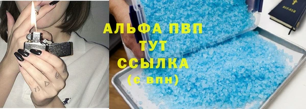 индика Новодвинск