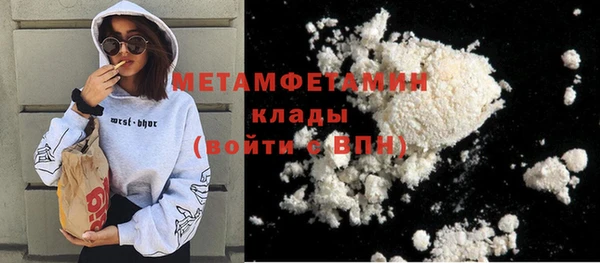 индика Новодвинск
