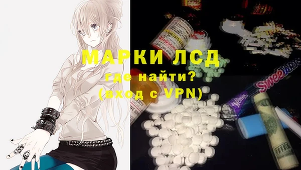 ALPHA PVP Новозыбков