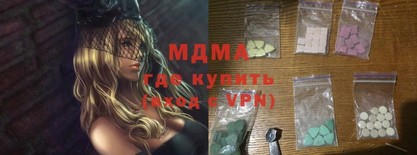 индика Новодвинск
