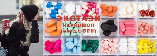 индика Новодвинск