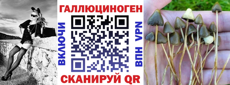 Купить  Тобольск  Галлюциногенные грибы MAGIC MUSHROOMS